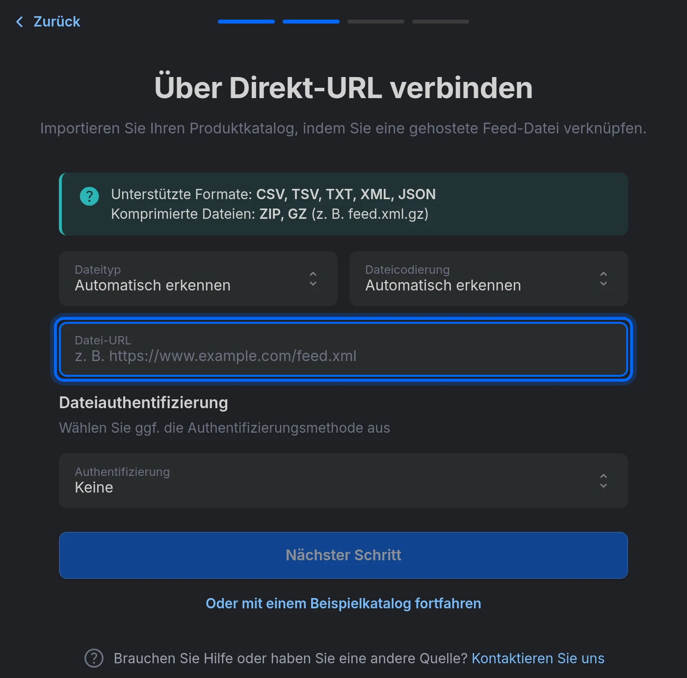 Der Schritt Über Direkt-URL verbinden: Dateityp, Dateicodierung, Datei-URL und Dateiauthentifizierung